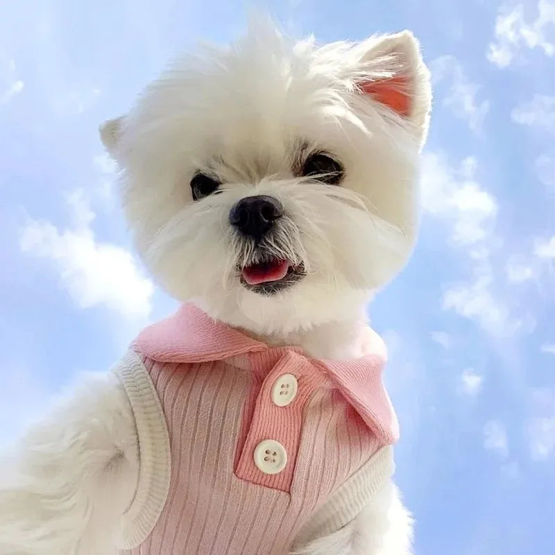 Lightweight Pet Summer Shirt