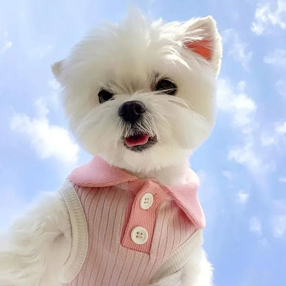 Lightweight Pet Summer Shirt