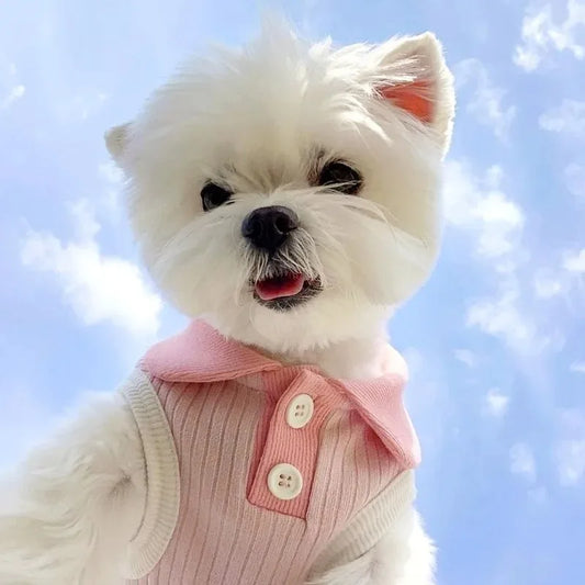 Lightweight Pet Summer Shirt